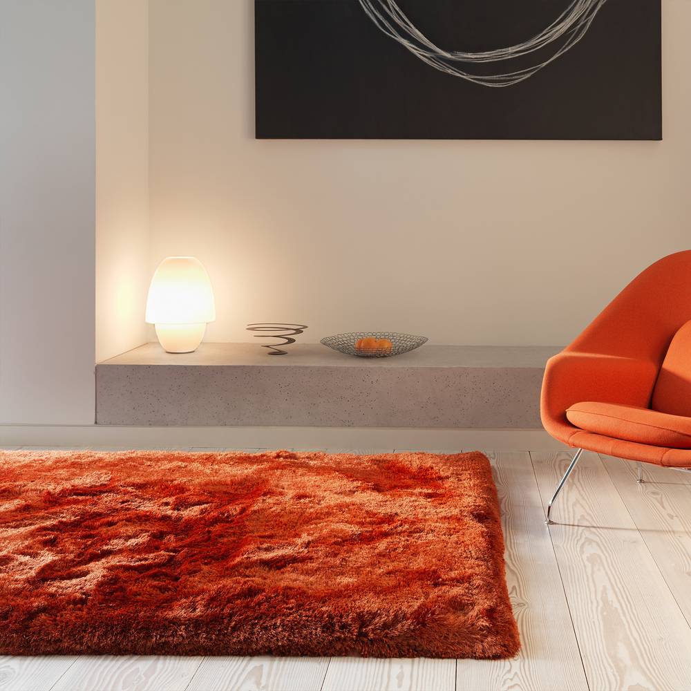Plush Rust Rug